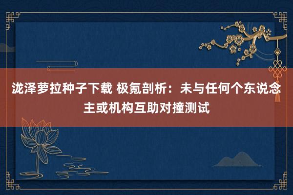 泷泽萝拉种子下载 极氪剖析：未与任何个东说念主或机构互助对撞测试