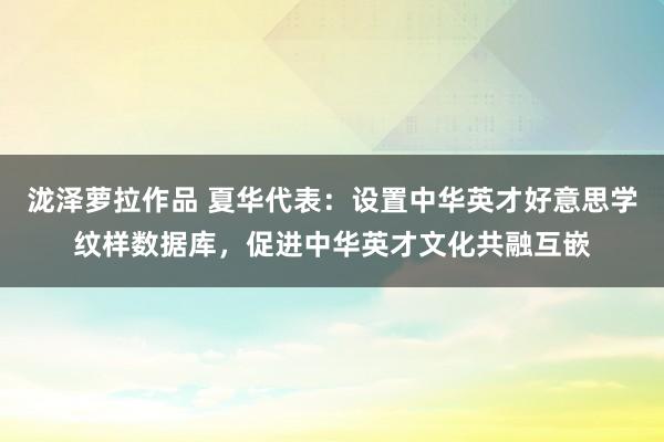 泷泽萝拉作品 夏华代表：设置中华英才好意思学纹样数据库，促进中华英才文化共融互嵌