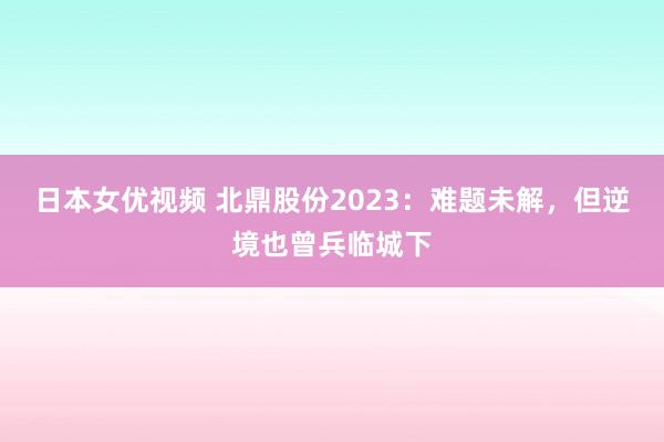 日本女优视频 北鼎股份2023：难题未解，但逆境也曾兵临城下