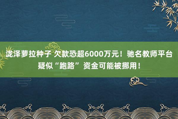 泷泽萝拉种子 欠款恐超6000万元！驰名教师平台疑似“跑路” 资金可能被挪用！