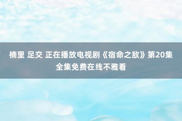 楠里 足交 正在播放电视剧《宿命之敌》第20集全集免费在线不雅看